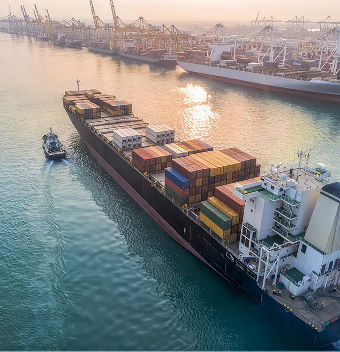 Freight Forwarding & Logistics