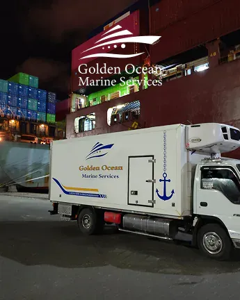Company Profile
